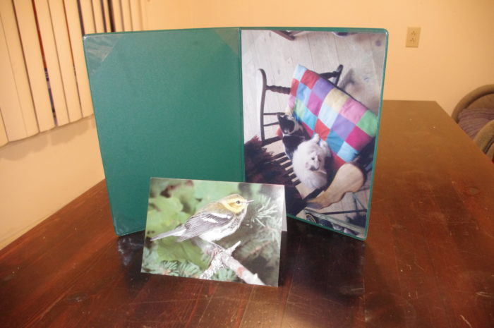The stuff I got from Elizabeth May! The brid on the card is a black-throated green warbler.